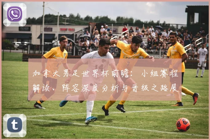 加拿大男足世界杯前瞻：小组赛程解读、阵容深度分析与晋级之路展望